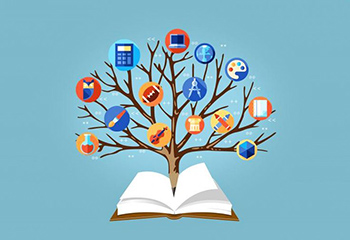 Профессиональные знания